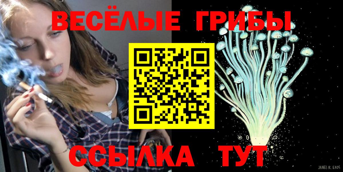 Псилоцибиновые грибы Cubensis  Вход с VPN  Псилоцибиновые грибы ЛСД  Приморско-Ахтарск 